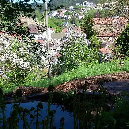 Meisterhaus Loft Alpirsbach